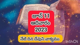 జూన్ 11 | నేటి దిన దేవునివాక్యము| మీరాయనను చూడకపోయినను  ప్రేమించుచున్నారు,  విశ్వసించు చున్నారు