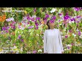 TOKYO teamLab Planets Museum - Unravel Travel TV