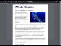 {Web-D, responsive 16} Refinements