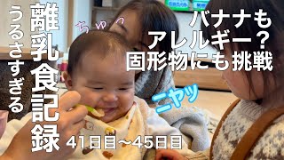 【育児】天ちゃんの離乳食記録/仲良し3姉弟の日常vlog/小麦と卵アレルギー