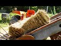 putin hay in the haymow