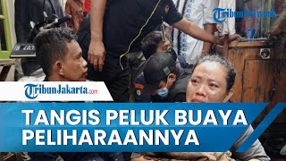 Dianggap Meresahkan, Buaya 2 Meter Milik Warga Dievakuasi ke Penangkaran, Pemilik Sempat Menangis