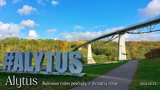 2024.10.23 Alytus