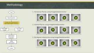 15-Automated grading of Citrus Suhuiensis fruit using deep learning method