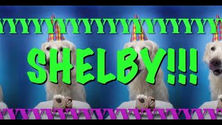 ¡FELIZ CUMPLEAÑOS SHELBY! - Canción Loca de Cumpleaños