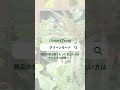 樹木プランターgr5091｜開梱から設置までをご説明