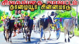 1சிவகங்கை(மாவட்டம்) தாழையூர் சின்னமாடு பந்தயம் 09.08.2023