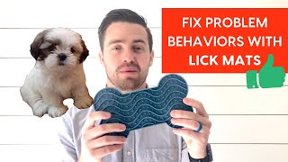 Fix Problem Behaviors With Lick Mats for Dogs