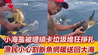 小海龜被纏繞卡垃圾堆狂掙扎 漁民小心割斷魚網暖送回大海｜三立新聞網 SETN.com