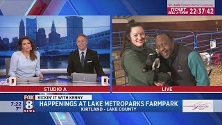 It's 'cuteness overload' for Kenny and newborns at Lake Metroparks Farmpark