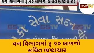 Navsari : વન વિભાગમાં રૂ 20 લાખનો કથિત ભ્રષ્ટાચાર | Gstv Gujarati News