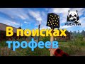 🎣В поисках трофеев🎣 Русская Рыбалка 4