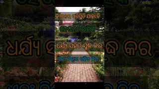 ଧର୍ଯ୍ୟ 💞Odia Motivation Quotes ||Anuchinta In Odia ||Odia Nitibani #shorts