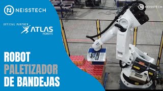 Neisstech - Robot Paletizador de Bandejas