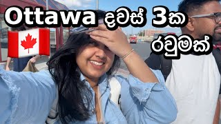 අපිත් එක්ක Ottawa 🇨🇦 | tulip festival🌷|  itinerary | Canada travel | #canada #srilankan #ottawa