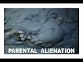 Parental Alienation