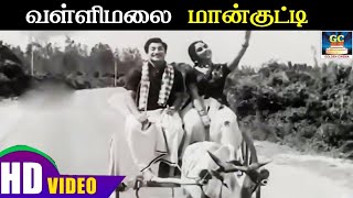 வள்ளிமலை மான்குட்டி எங்கே போறே | Vallimalai Maankutty Enge | Anbalippu | Sivajiganesan | Sarojadevi