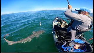 Battling an 8-Foot SHARK on a Kayak.  Seven Gill Shark Fishing.