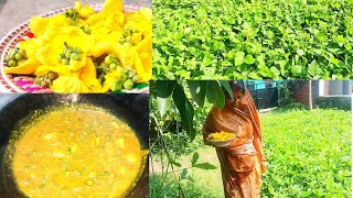 luffa gourds flower tasty recipe🤤🤤/घिरौले की फूलकी सब्जी एक बार बनाऐ