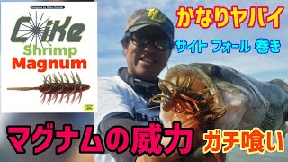 【バス釣り】ハイドアップ コイケシュリンプマグナムが強烈すぎ！ 旧吉野川でほらほーでぇ久次米連発