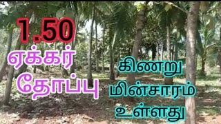 1.50 ஏக்கர் தென்னந்தோப்பு குறைந்த விலையில் கிணறு இலவச மின்சாரம் உள்ளது