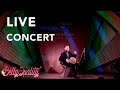 OMAR KATTAN LIVE  CONCERT | DARBUKA SHOW - [Bellyquality 2020]