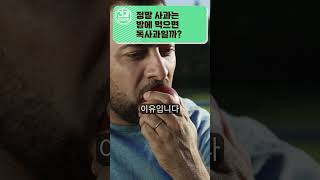 밤에 먹는 사과는 진짜 독사과일까? #shorts  #건강  #건강정보  #건강상식  #건강관리  #건강인사이드 #사과 #독사과