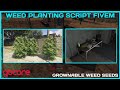 PS-Weed Planting Installation | Free Weed Script For QBCore | Project Sloth | MJ DEVELOPMENT