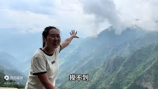 云南的菌子多到捡不完，乐乐来到海拔2000米的高山，这也太多菌了