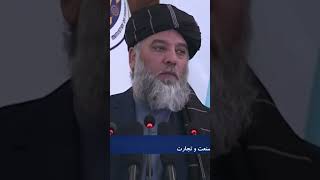 Minister calls on citizens to pay taxes | تاکید وزیر تجارت بر پرداخت مالیات