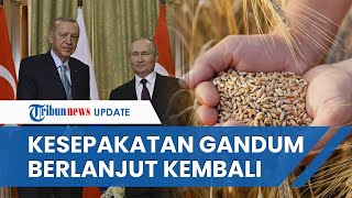 Pertemuan Rusia-Turki Akhirnya Capai Kesepakatan! Moskow Bakal Pasok 1 Juta Ton Gandum per Tahun