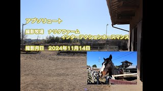 アブソリュート近況報告(2024年12月撮影)