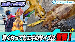 【ティップラン】寒くなって重要なのはエギのサイズ