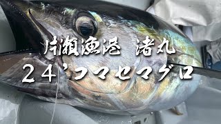 24' Tuna Fishing - Nagisa Maru -