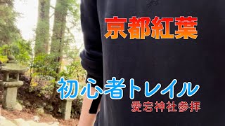 【初心者トレイル】京都の街中を避けて愛宕山登山・紅葉堪能