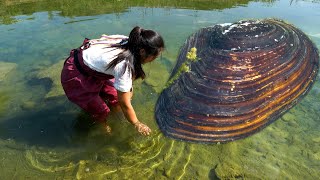 The river water is clear to the bottom, and you can see the big pearl clam from afar