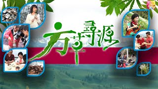 《方草尋源II》 第3集 | 麥冬、桂圓、石決明 | 鮑起靜、陳少霞 | Adventure For The Herbal Medicine II EP03 | ATV