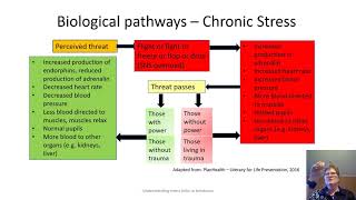 Supporting behaviour positively - Understanding stress links to behaviour