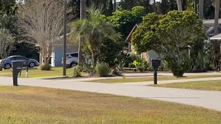 Flagler County deputies investigate possible attempted child abduction in Palm Coast