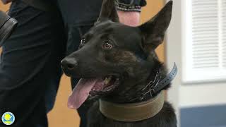 MBPD's Newest K9 Unkas Gets Sworn In