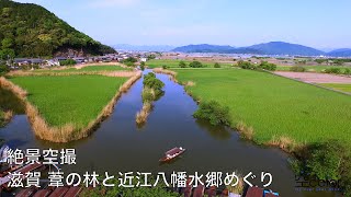 滋賀絶景空撮 葦の林と近江八幡水郷めぐり 4K -- DJI Inspire 1