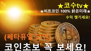 쎄타퓨엘 반등준비! 비트랑 같이오르자! 향후전망 \u0026 호재