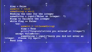 Input Validation in Python Lecture