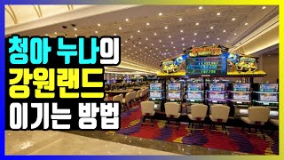누나만의 독특한 강원랜드 승리비법 (Feat. 청아누나)