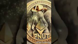 $PNUT on ETH - Freedom Farm to Full-Scale Movement