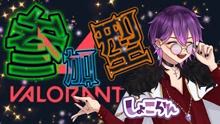 【VALORANT】【参加型】努力は必ず報われると信じる！初見さん初心者さん大歓迎♪楽しく遊ぼ♪お気軽に！雑談も大歓迎♪#123【VTuber】