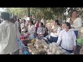 ទិដ្ឋភាពការរៀបចំចង្ហាន់ត្រង់លើកោះស័ក្តិសិទ្ធិនៅវត្តតាសុត២៤កុម្ភ ២០២៥❤️❤️❤️