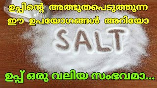 ഉപ്പ്‌ കറികൾക്ക് മാത്രം അല്ലാട്ടോ വേറെയും ഉപയോഗങ്ങൾ ഉണ്ട് | Salt Uses In Daily Life