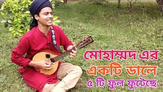 মোহাম্মদ এর একটি ডালে পাঁচ টি ফুল তার ফুটেছে তত্ত্ব গান | Mohhamad Er Ekti Dale By Shah Ahnaf Sarker