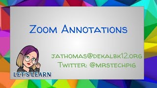 Zoom Annotations